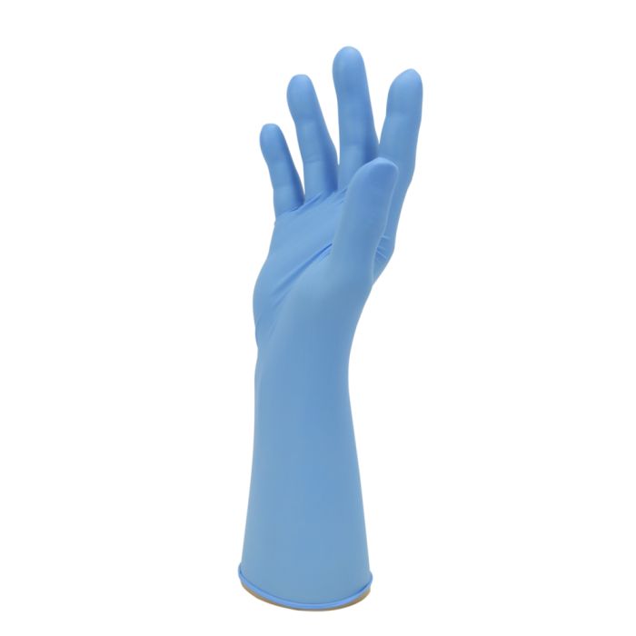 EGN08_right_palm_web_3843