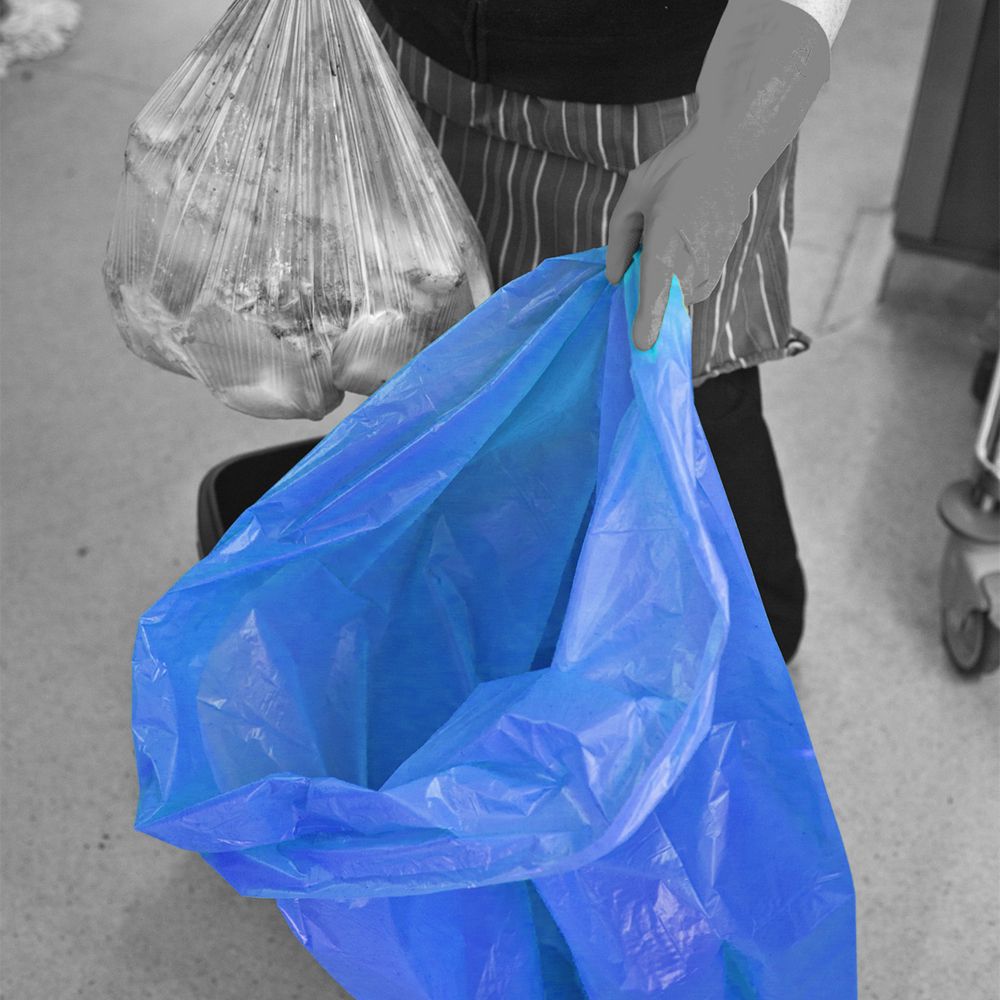 BCOL_B_Action_web_9c4c