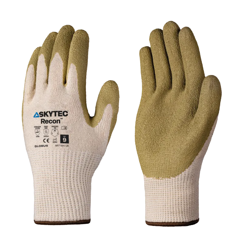 SKG00036E_P_I_LR_SKY_Recon_0424