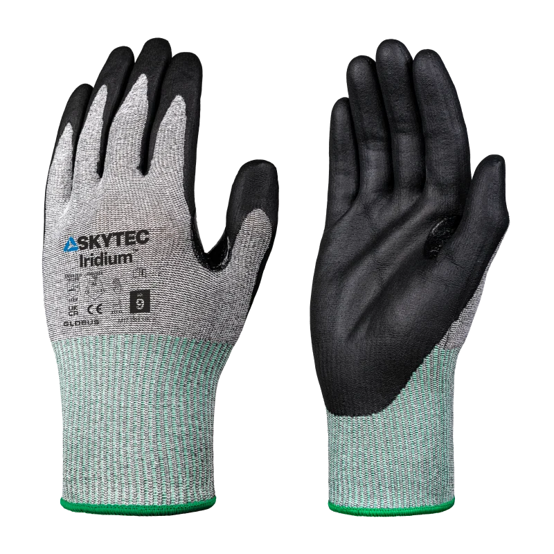 SKG00048B_P_I_LR_SKY_EcoIridium_1023